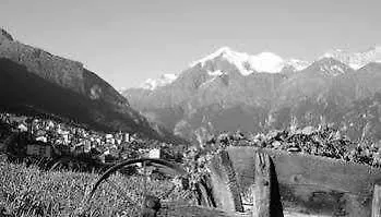 Walliserhof - The Dom Collection 3*