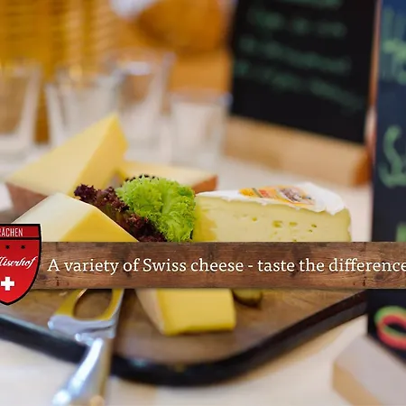 Walliserhof - The Dom Collection Ξενοδοχείο Grächen