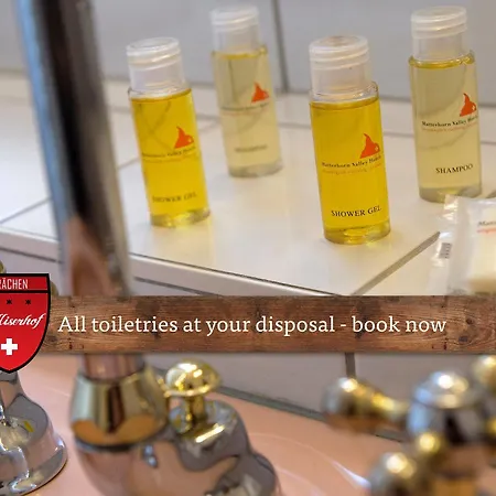 Walliserhof - The Dom Collection Grächen